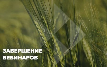 Завершение вебинаров 2025