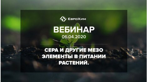 СЕРА И ДРУГИЕ МЕЗОЭЛЕМЕНТЫ В ПИТАНИИ РАСТЕНИЙ