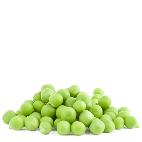 Зернобобовые культуры