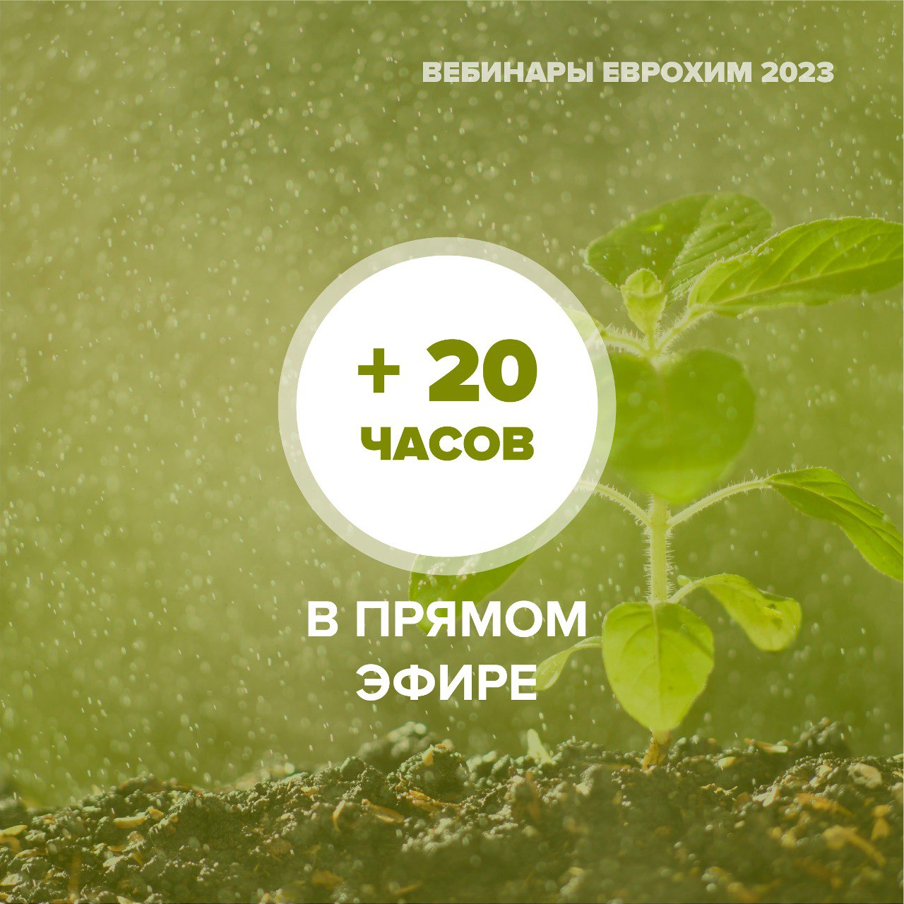 вебинары 2023