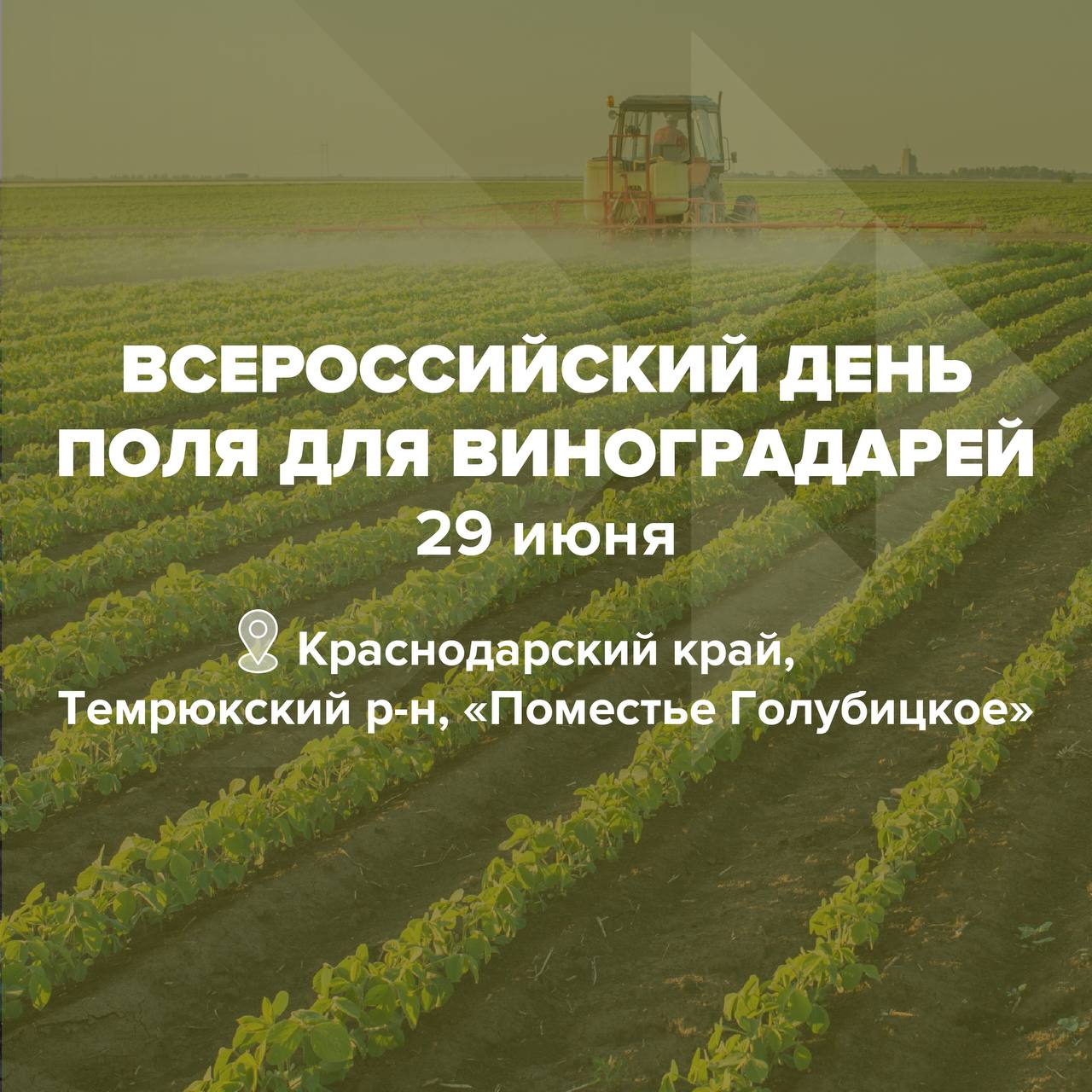 краснодар